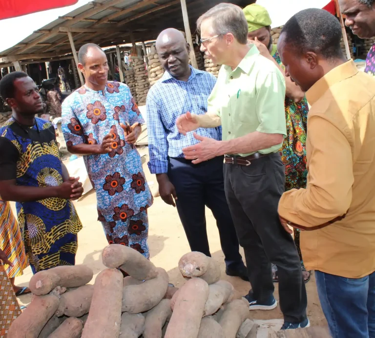 H1-scaled_6_11zon_7_11zon